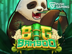 Casino blog articles82